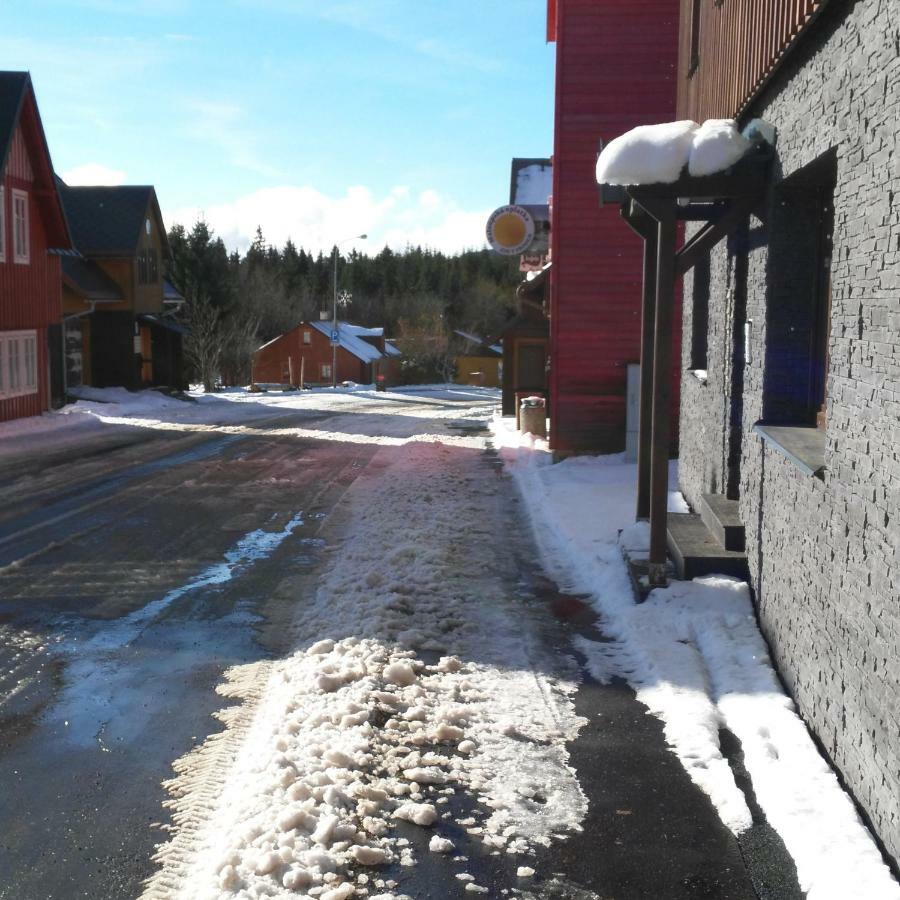 Apartman Eskadra 02 Horní Malá Úpa Eksteriør billede